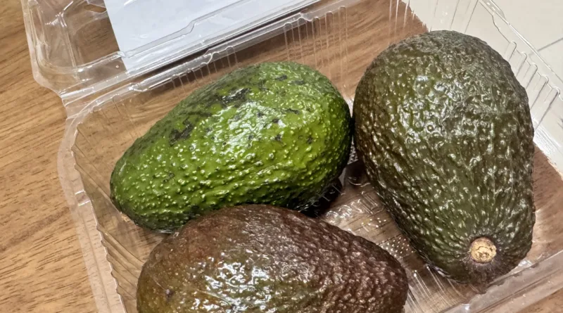 곰곰 페루산 아보카도